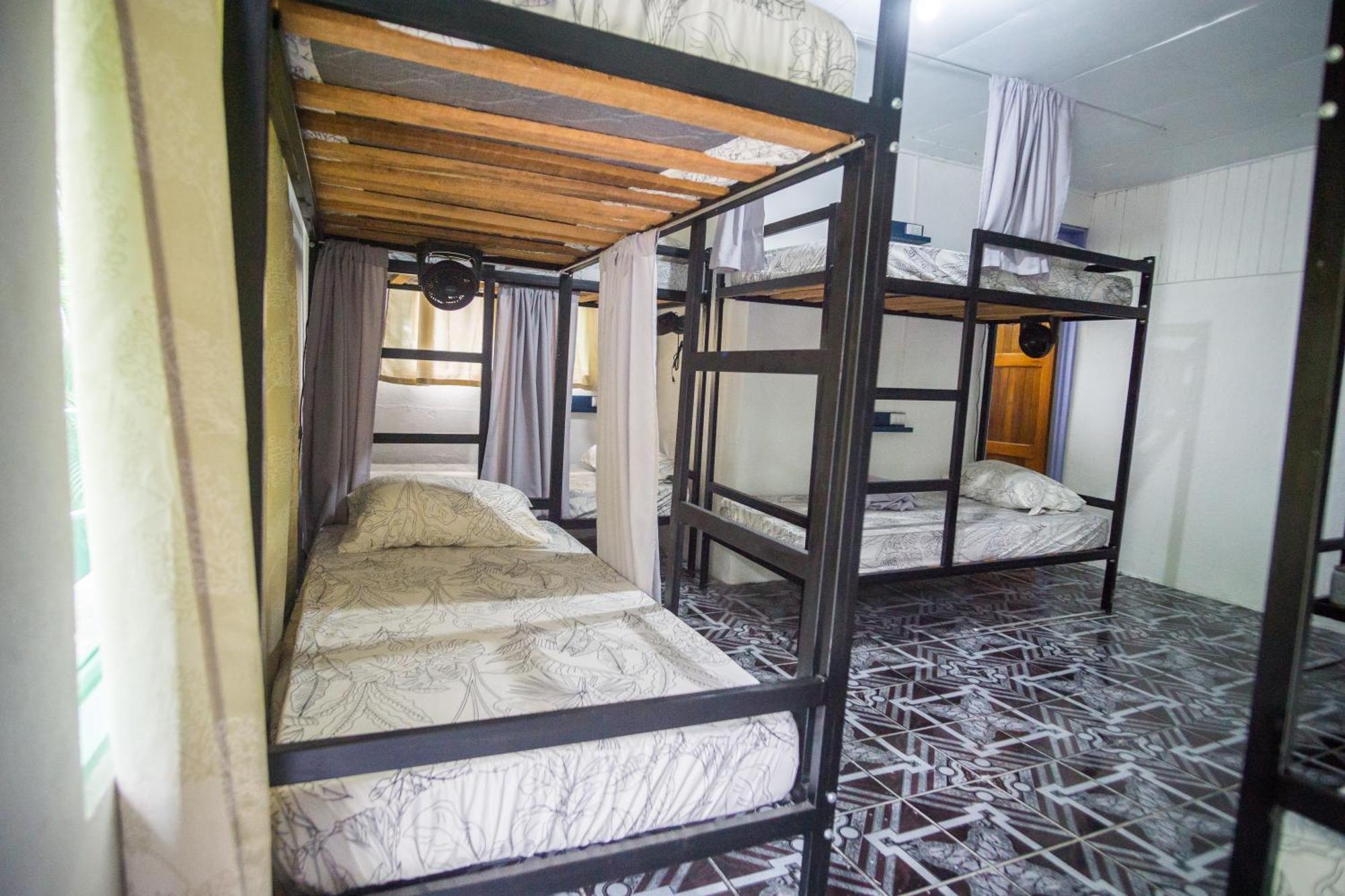 Pura Vibra Hostel La Fortuna Room photo